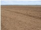 Mungindi NSW 2406