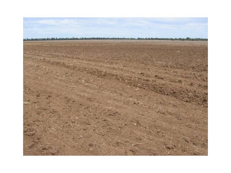 Mungindi NSW 2406