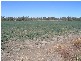 “OLD YARRAWA”, Mungindi NSW 2406