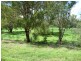 WALLAMBAH GWYDIRFIELD ROAD, Moree NSW 2400