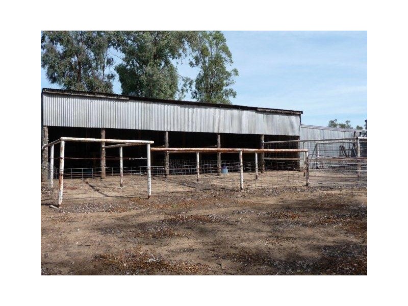 LOT 1 DP 100725 AHWAHNEE HOMESTEAD, Moree NSW 2400