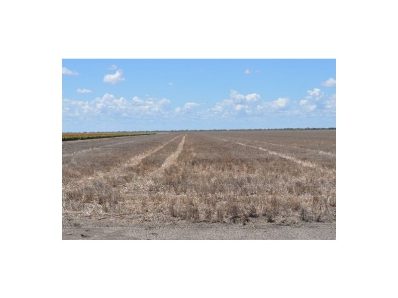 Moree NSW 2400