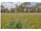 Moree NSW 2400