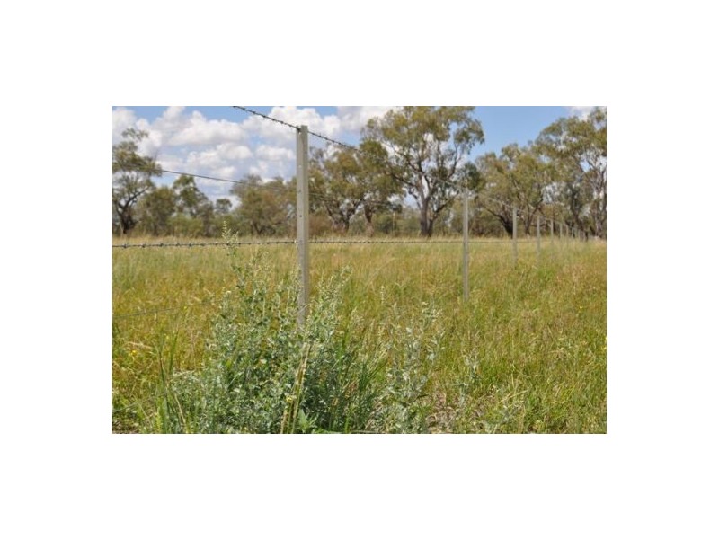 Moree NSW 2400