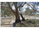 Moree NSW 2400