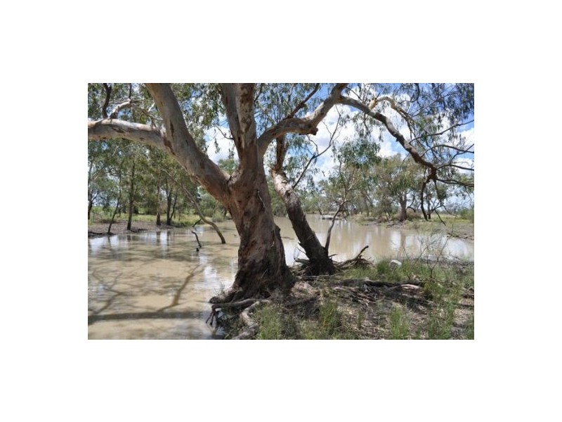 Moree NSW 2400