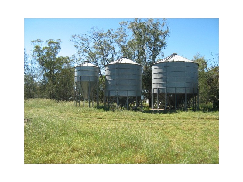 “Talahassee”, Croppa Creek NSW 2411