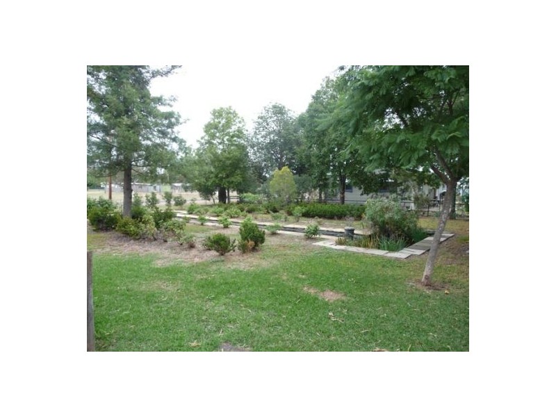 31 PARAMELLOWA STREET, Pallamallawa NSW 2399