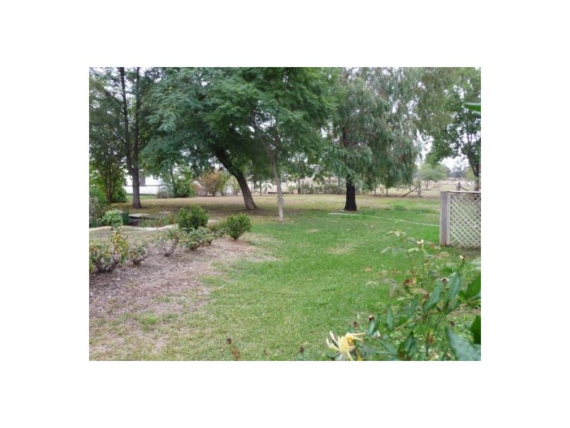 31 PARAMELLOWA STREET, Pallamallawa NSW 2399