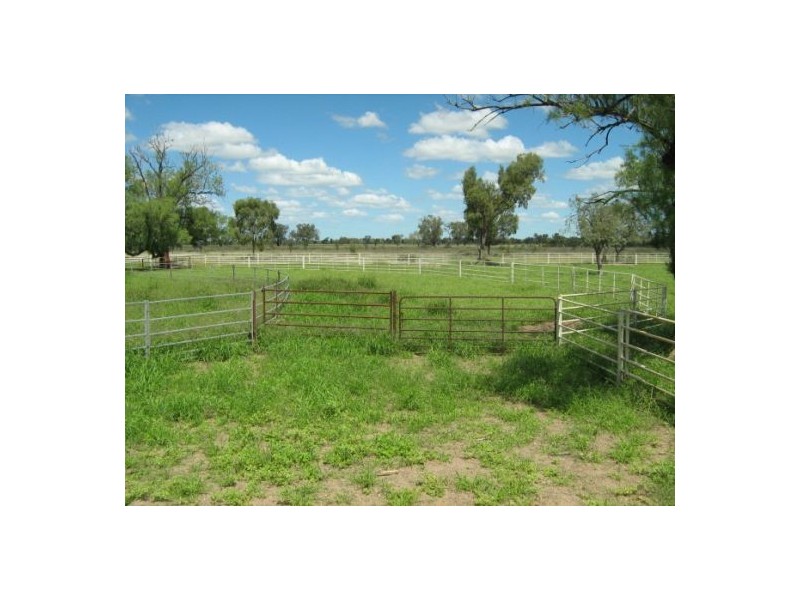“Neirbo Plains”, Lightning Ridge NSW 2834