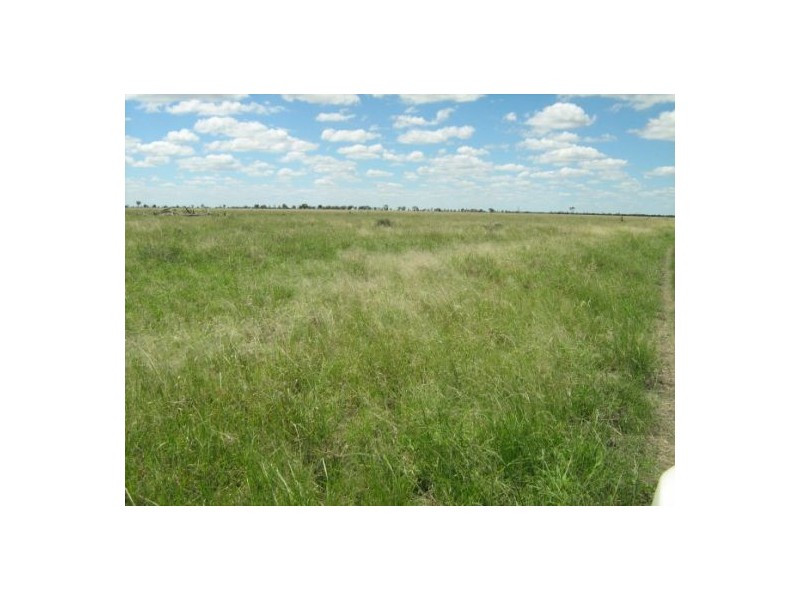 “Neirbo Plains”, Lightning Ridge NSW 2834