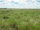 “Neirbo Plains”, Lightning Ridge NSW 2834