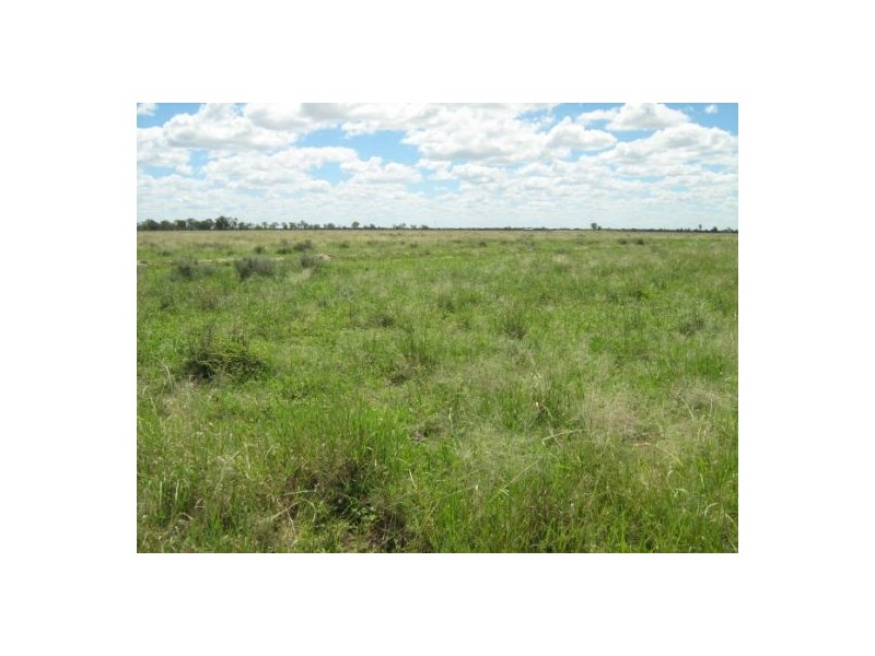 “Neirbo Plains”, Lightning Ridge NSW 2834