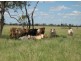 “Neirbo Plains”, Lightning Ridge NSW 2834