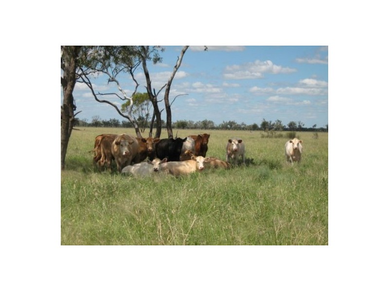 “Neirbo Plains”, Lightning Ridge NSW 2834