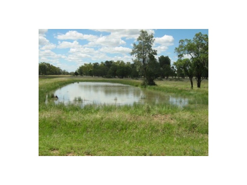 “Neirbo Plains”, Lightning Ridge NSW 2834