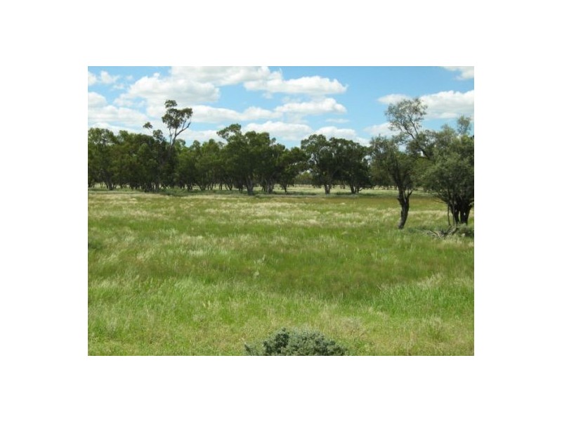 “Neirbo Plains”, Lightning Ridge NSW 2834