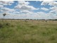 “Neirbo Plains”, Lightning Ridge NSW 2834