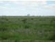 “Neirbo Plains”, Lightning Ridge NSW 2834