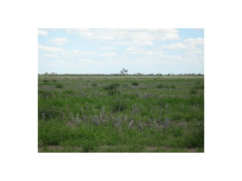 “Neirbo Plains”, Lightning Ridge NSW 2834