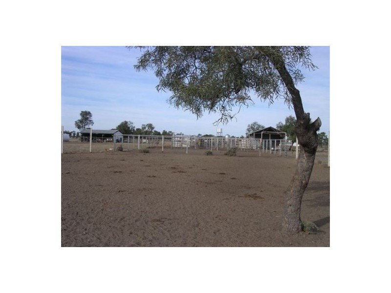 “Neirbo Plains”, Lightning Ridge NSW 2834