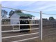 “Neirbo Plains”, Lightning Ridge NSW 2834
