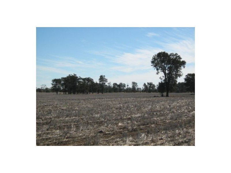 “OSTERLEY”, Boggabilla NSW 2409