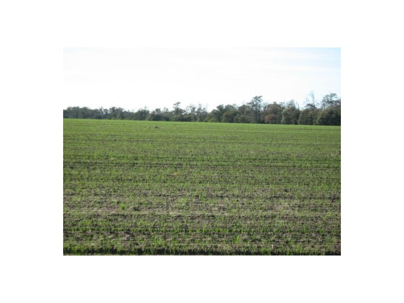 “OSTERLEY”, Boggabilla NSW 2409