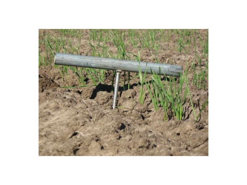 “OSTERLEY”, Boggabilla NSW 2409