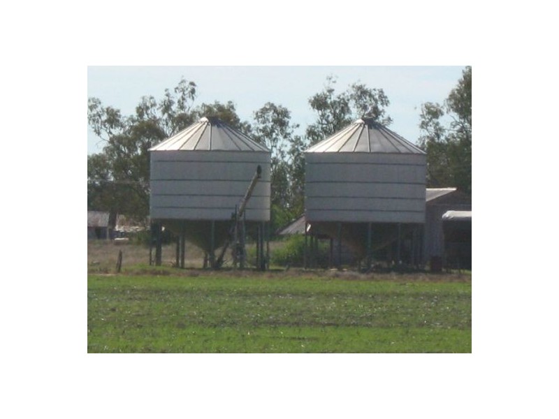 “OSTERLEY”, Boggabilla NSW 2409