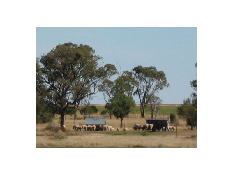 “OSTERLEY”, Boggabilla NSW 2409
