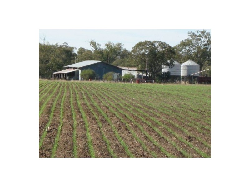 “OSTERLEY”, Boggabilla NSW 2409