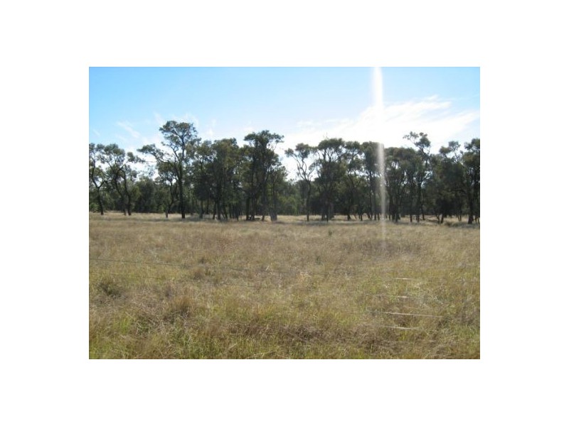 “OSTERLEY”, Boggabilla NSW 2409