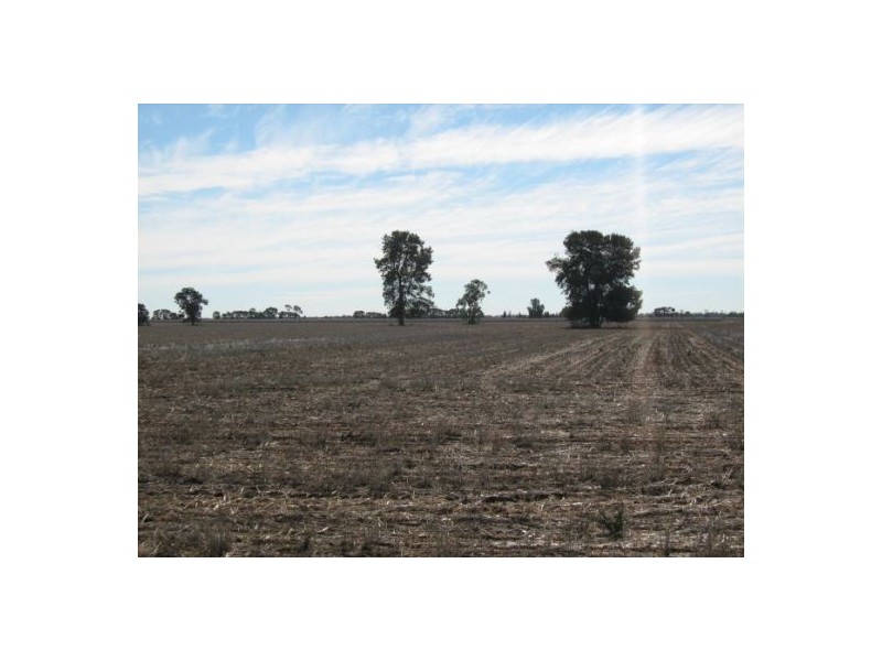 “OSTERLEY”, Boggabilla NSW 2409