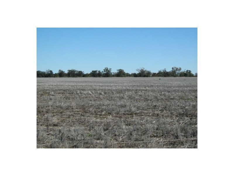 “OSTERLEY”, Boggabilla NSW 2409