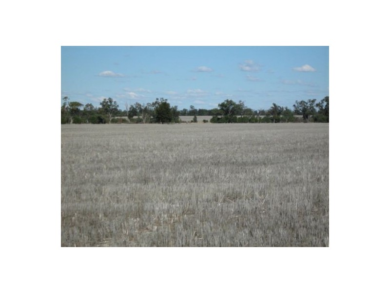 “OSTERLEY”, Boggabilla NSW 2409