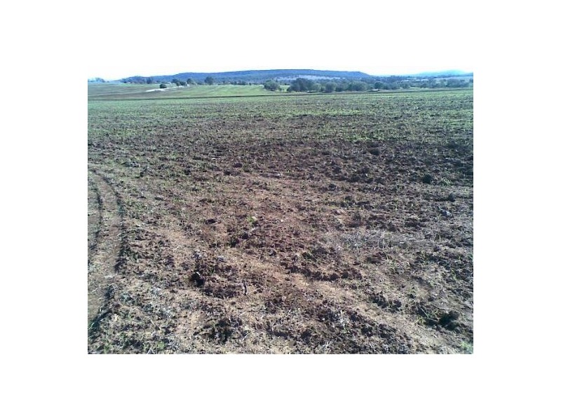 “BRIGALOW CREEK”, Gravesend NSW 2401