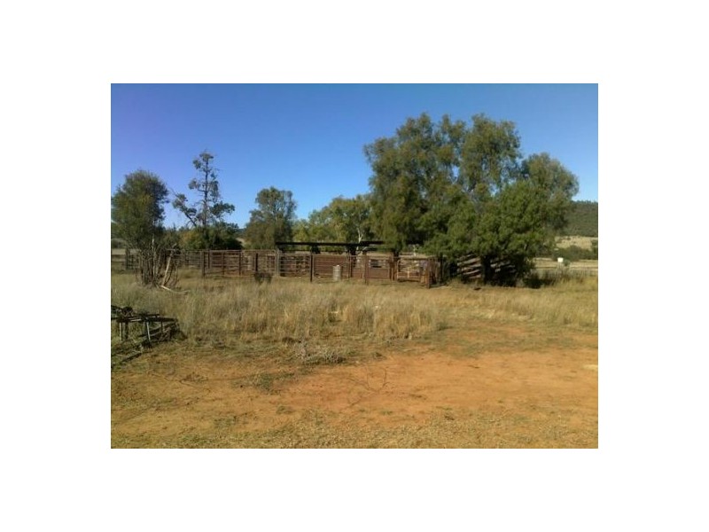 “BRIGALOW CREEK”, Gravesend NSW 2401