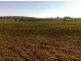 “BRIGALOW CREEK”, Gravesend NSW 2401