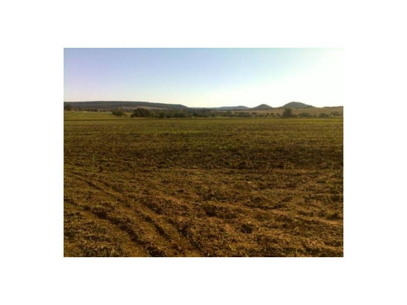 “BRIGALOW CREEK”, Gravesend NSW 2401