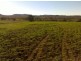 “BRIGALOW CREEK”, Gravesend NSW 2401