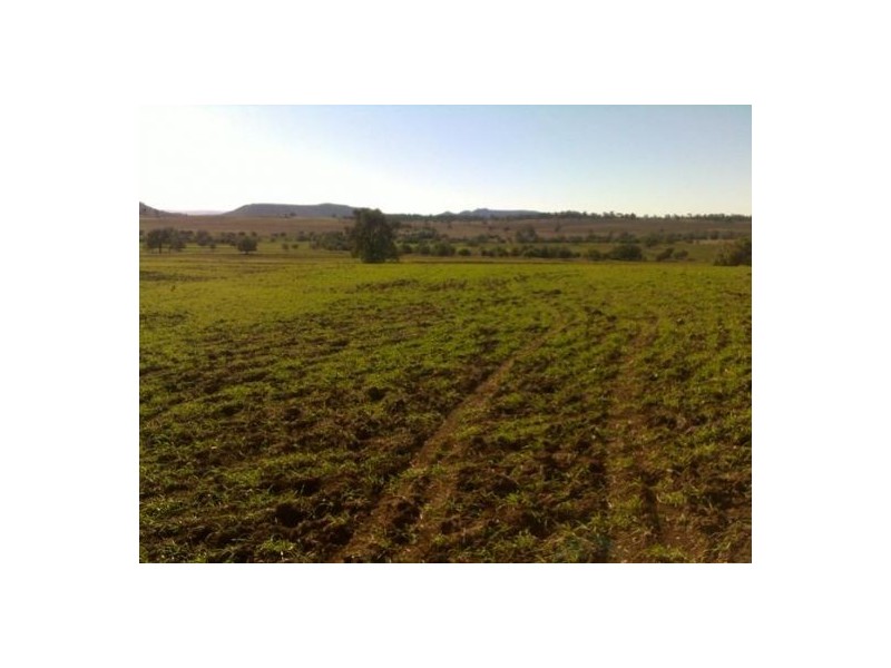 “BRIGALOW CREEK”, Gravesend NSW 2401