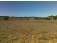 “BRIGALOW CREEK”, Gravesend NSW 2401