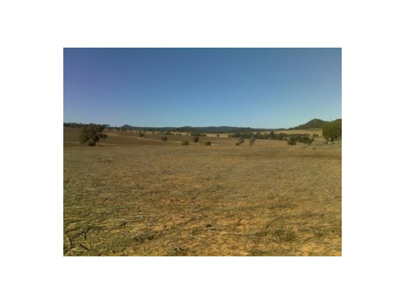 “BRIGALOW CREEK”, Gravesend NSW 2401