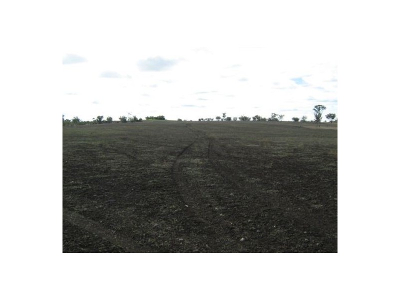 “Ponderosa”, Warialda NSW 2402