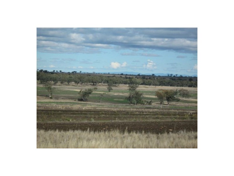 “Ponderosa”, Warialda NSW 2402
