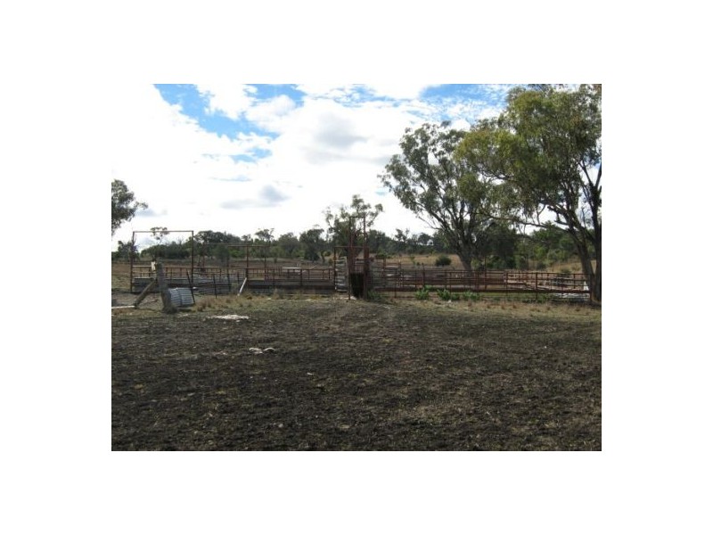 “Ponderosa”, Warialda NSW 2402