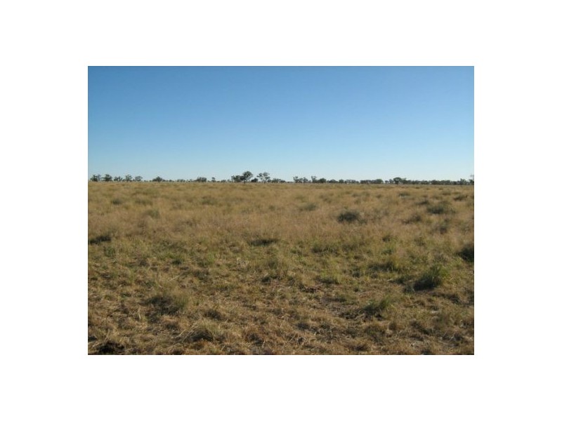 Killarney, Brewarrina NSW 2839