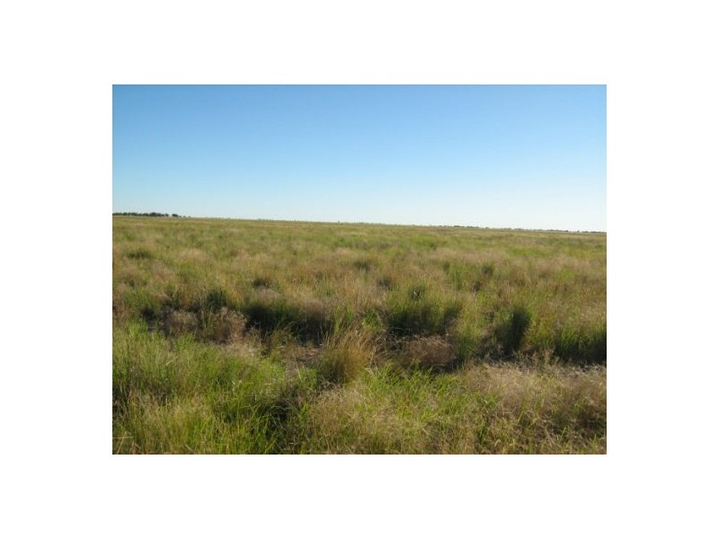 Killarney, Brewarrina NSW 2839