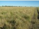 Killarney, Brewarrina NSW 2839